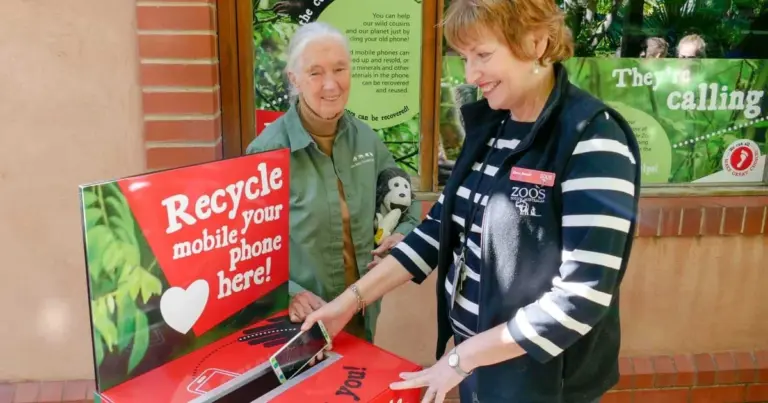 A Jane Goodall Intézet “Passzold Vissza, Tesó!” programja nyerte a Magyar Telekom Körforgásban – Kölcsönhatásban – Közösségben pályázatát