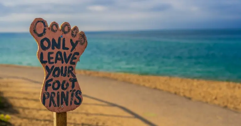 Ez történt ESG-fronton januárban