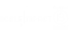 Scale Impact