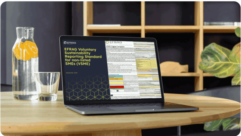 VSME: Egy új és egyszerű lehetőség az önkéntes fenntarthatósági jelentéstételre